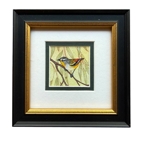 Spotted Paradalote - Forest Green 2026