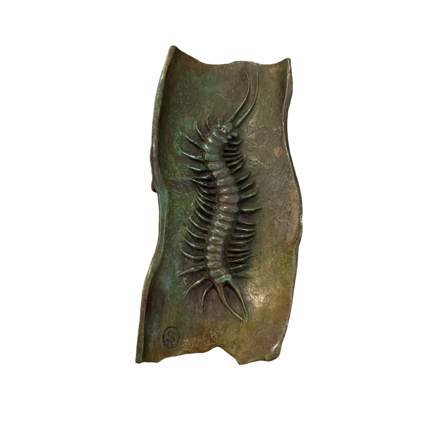 Knob Tailed Gecko - Exhibition Nov 2023