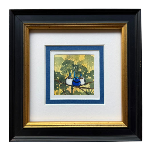 Splendid Fairy Wrens Trio 2 - Spring II 2025