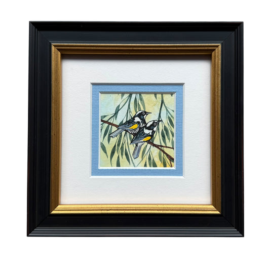 New Holland Honeyeater II - Summer 2026