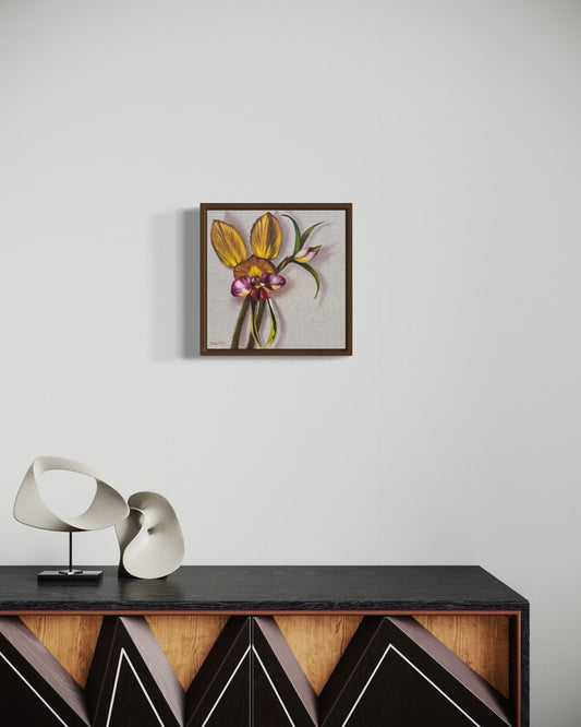 Dunsborough Donkey Orchid