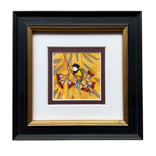 Golden Whistler - Spring II 2025