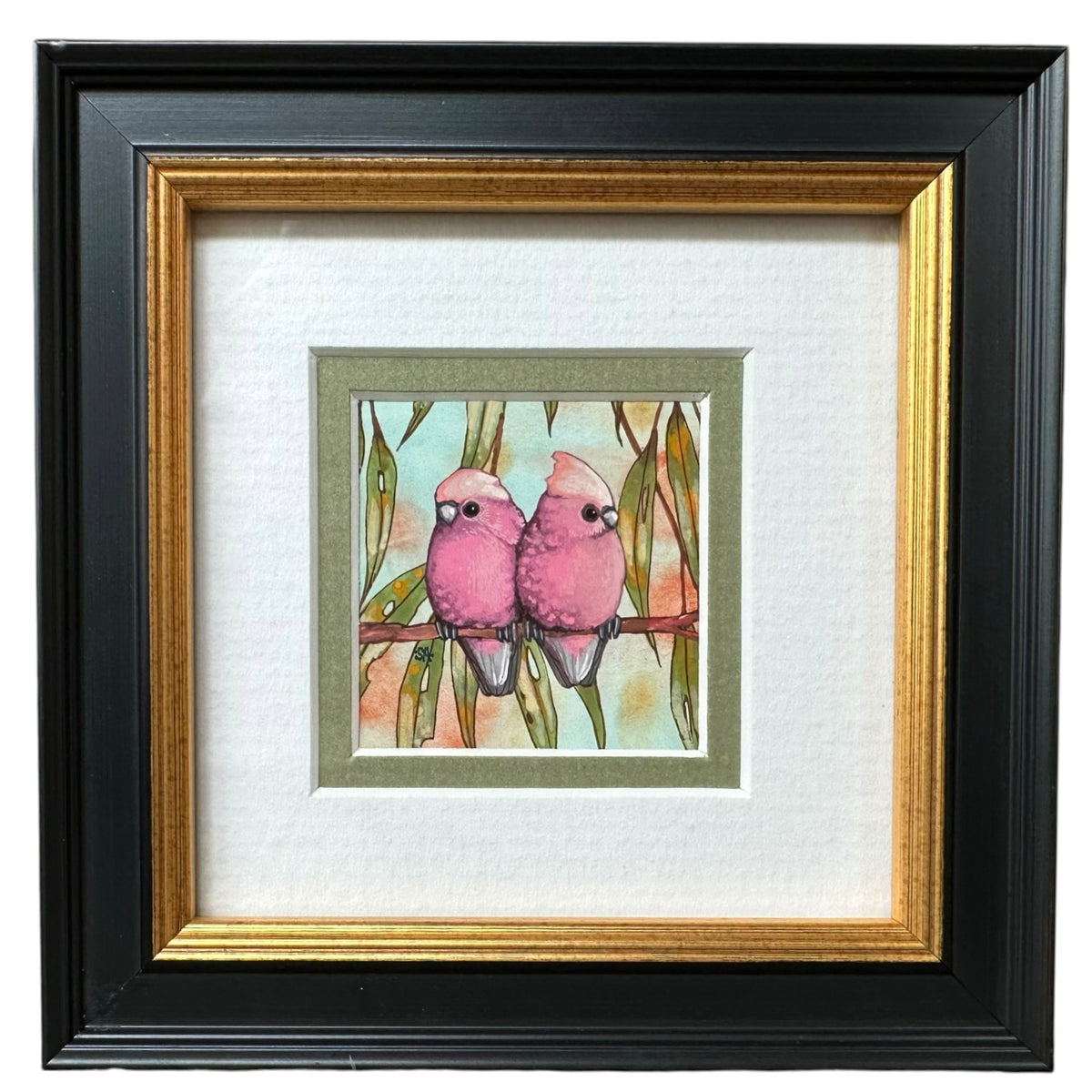 2 Galah, Spring 2026