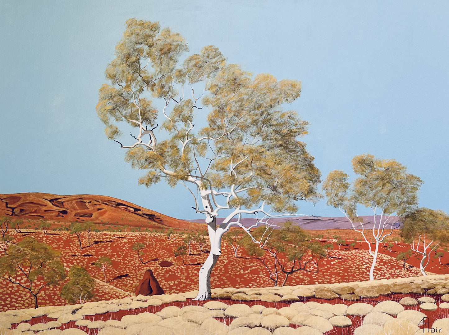 Karijini Snappy Gum 11