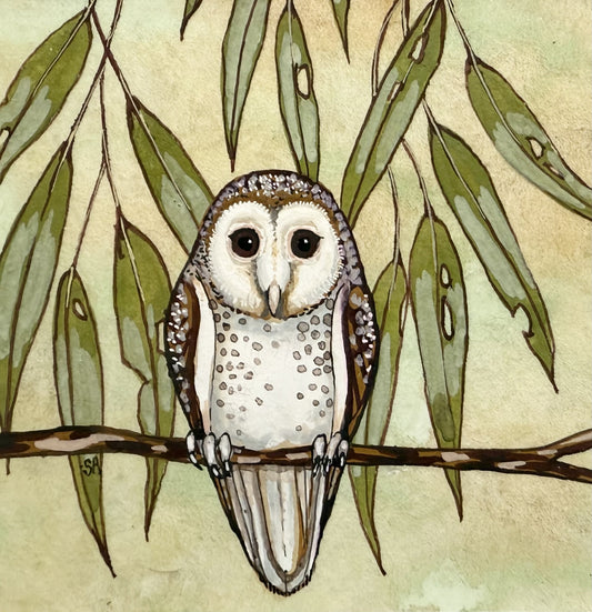 Barn Owl - Winter 2025