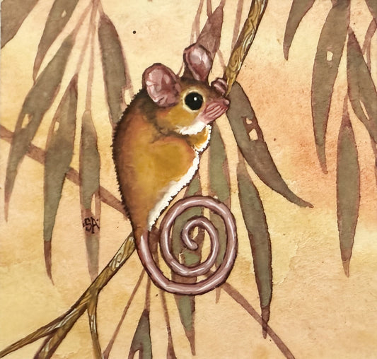 Pygmy Possum Peach - Winter 2025