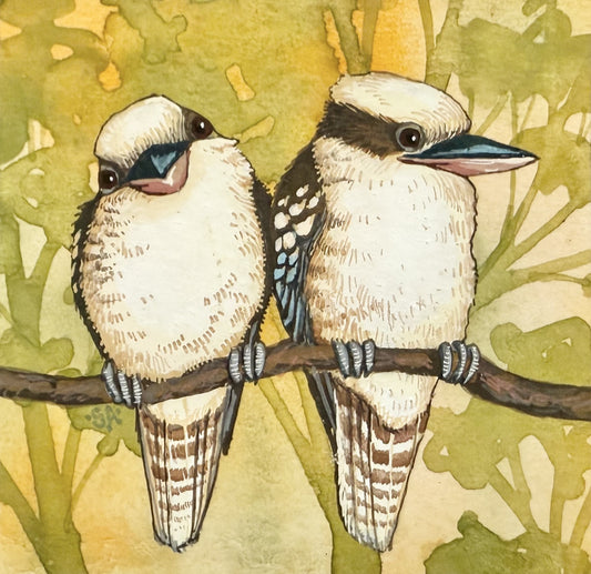 Kookaburra Pair - Winter 2025