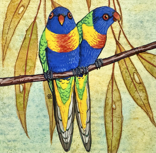 Rainbow Lorikeets - Winter 2025