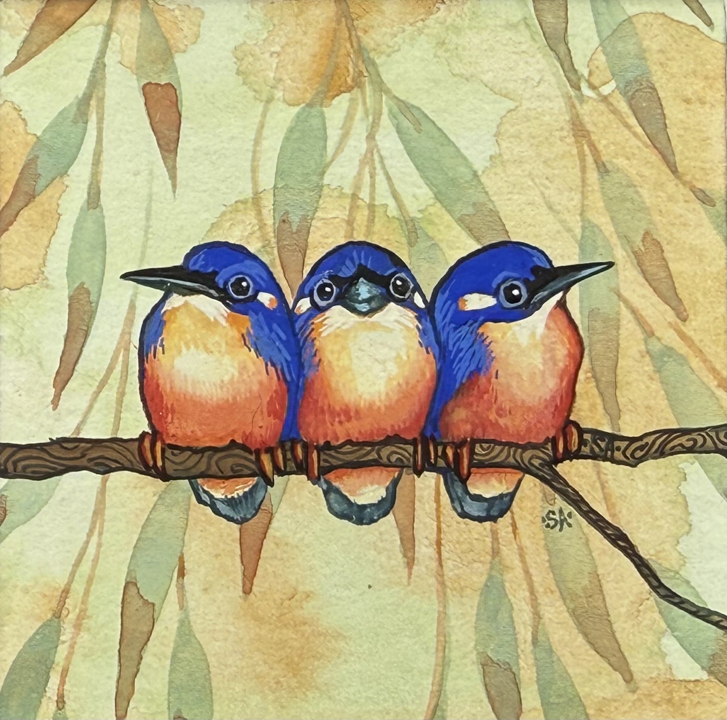 Kingfisher Trio - Spring II 2025