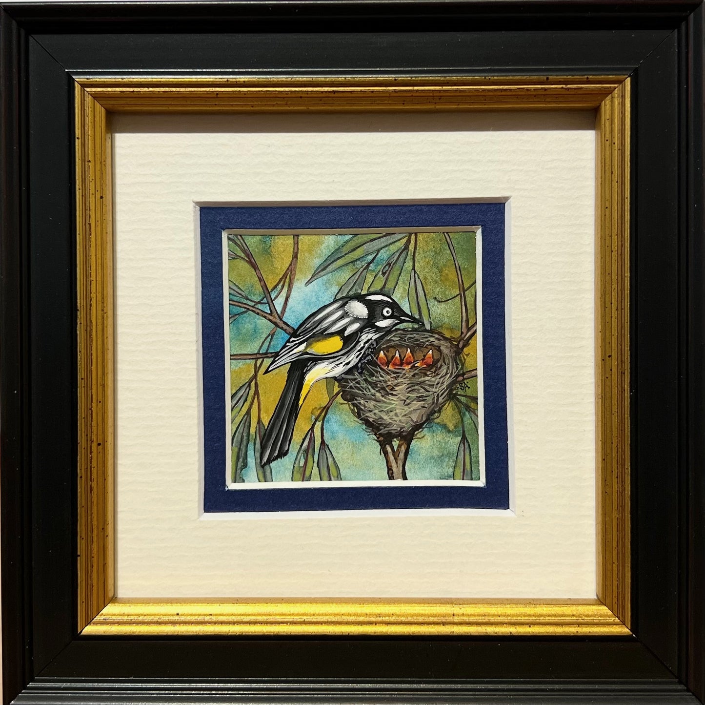 New Holland Honeyeater, Deep Blue
