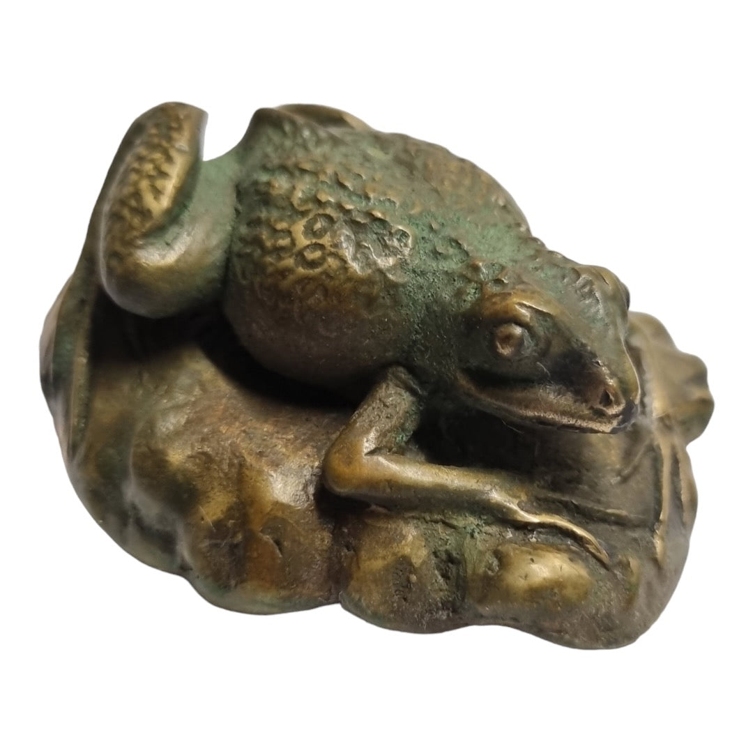 Crinia Frog - Exhibition Nov 2023