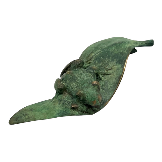 Frog on Leaf with Gecko