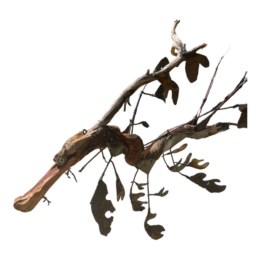 Leafy Sea Dragon - Suspected in Animation