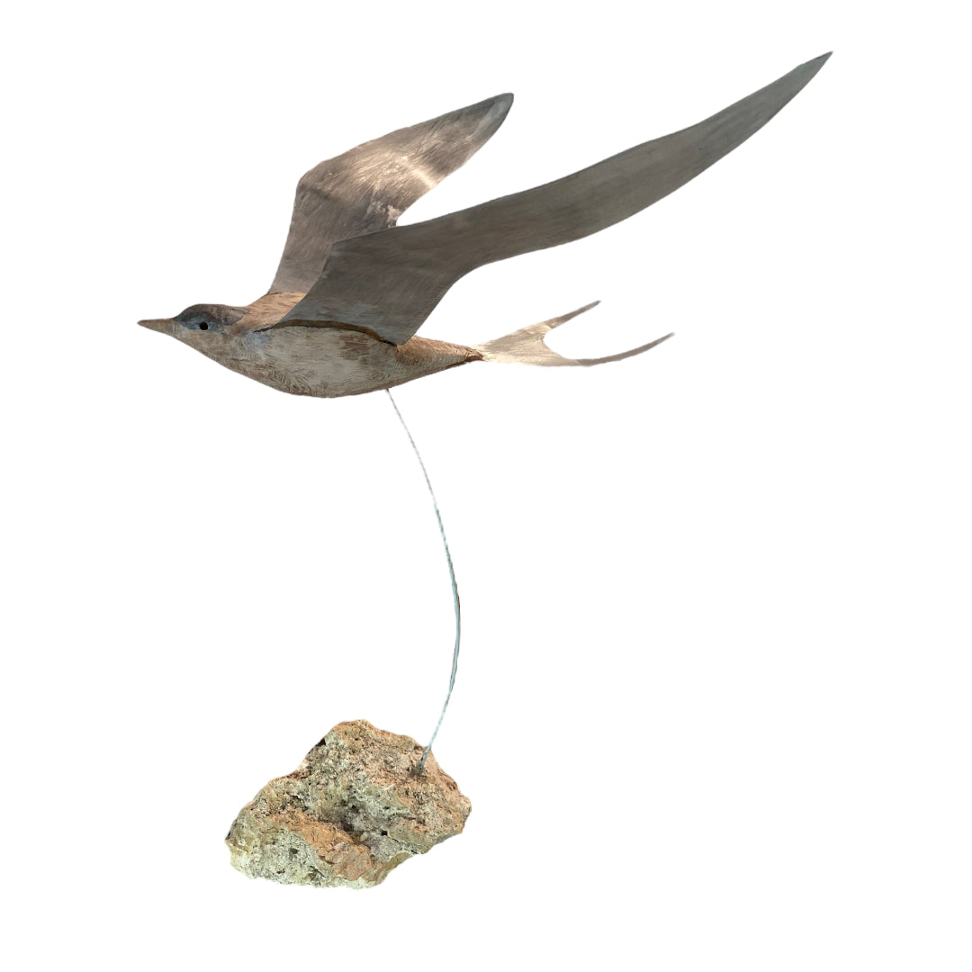 E-Turn-al Traveller 2