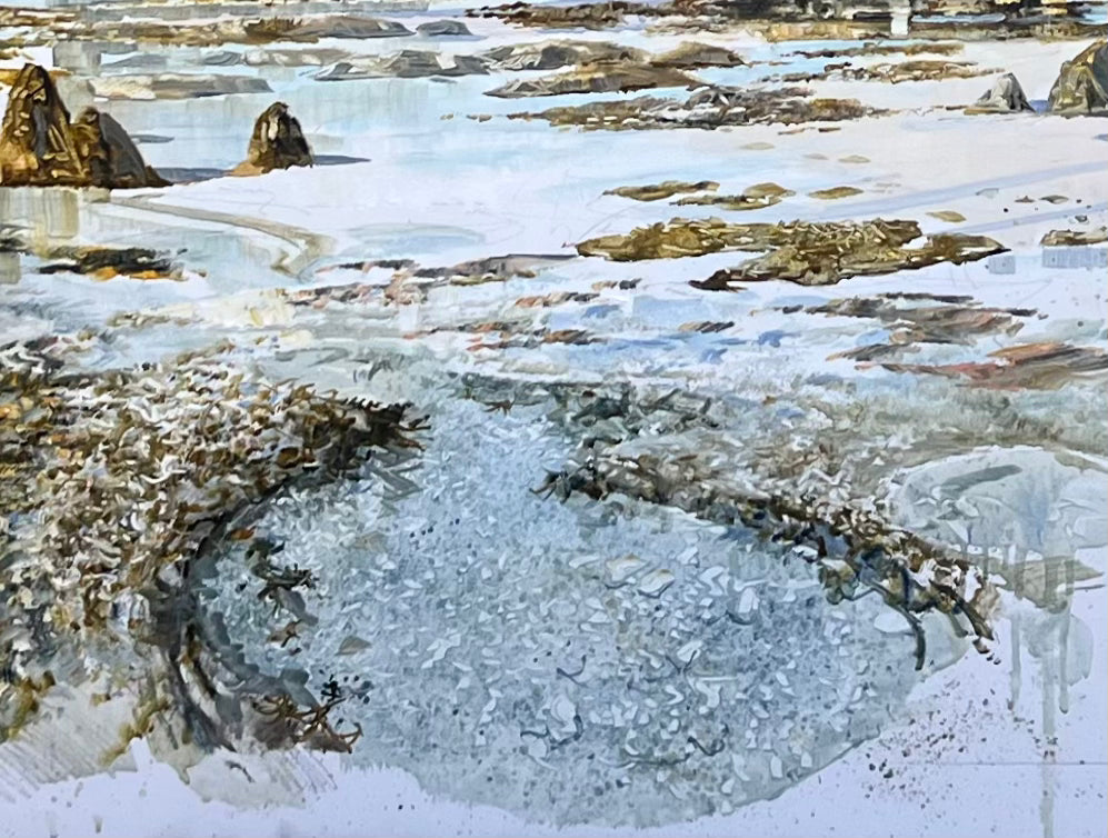 Montebello Islands Study - Exhibition April 2023