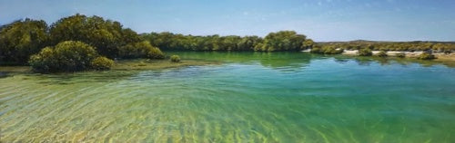 Shark Bay Tidal Estuary, Big Lagoon