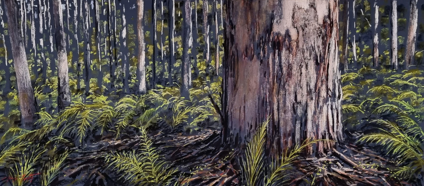 Shedding the Layers, Boranup Forest