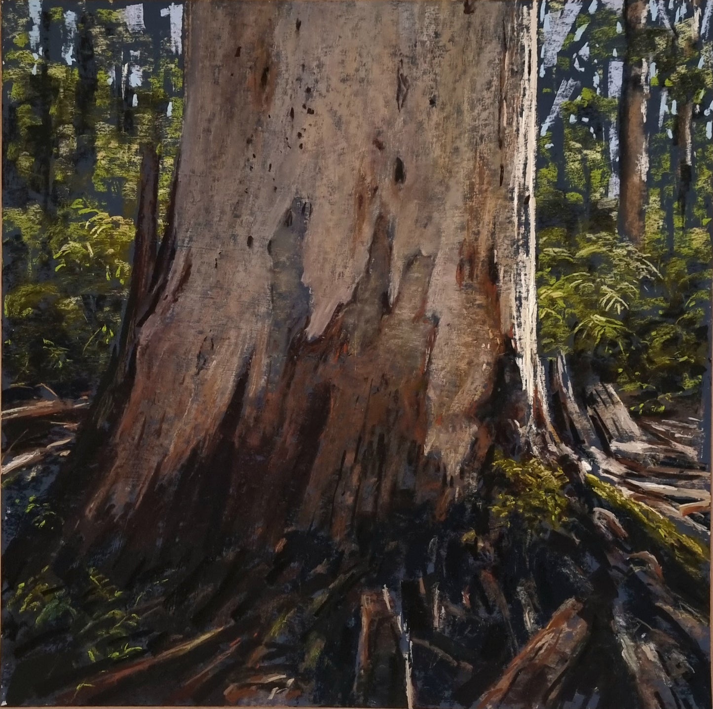 Resilience, Boranup Forest - Jan 2024