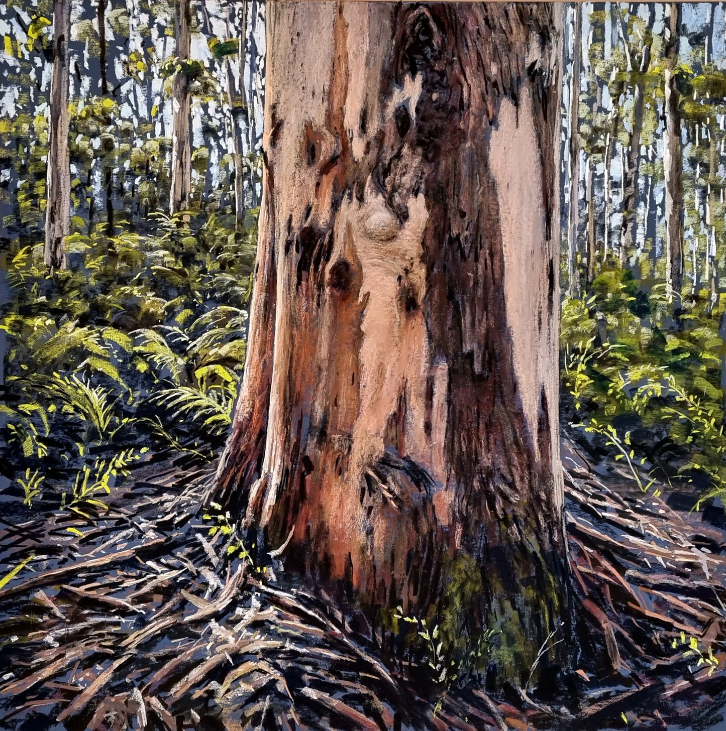 Karri Tree - Exhibition Dec 2022 - Jan 2023