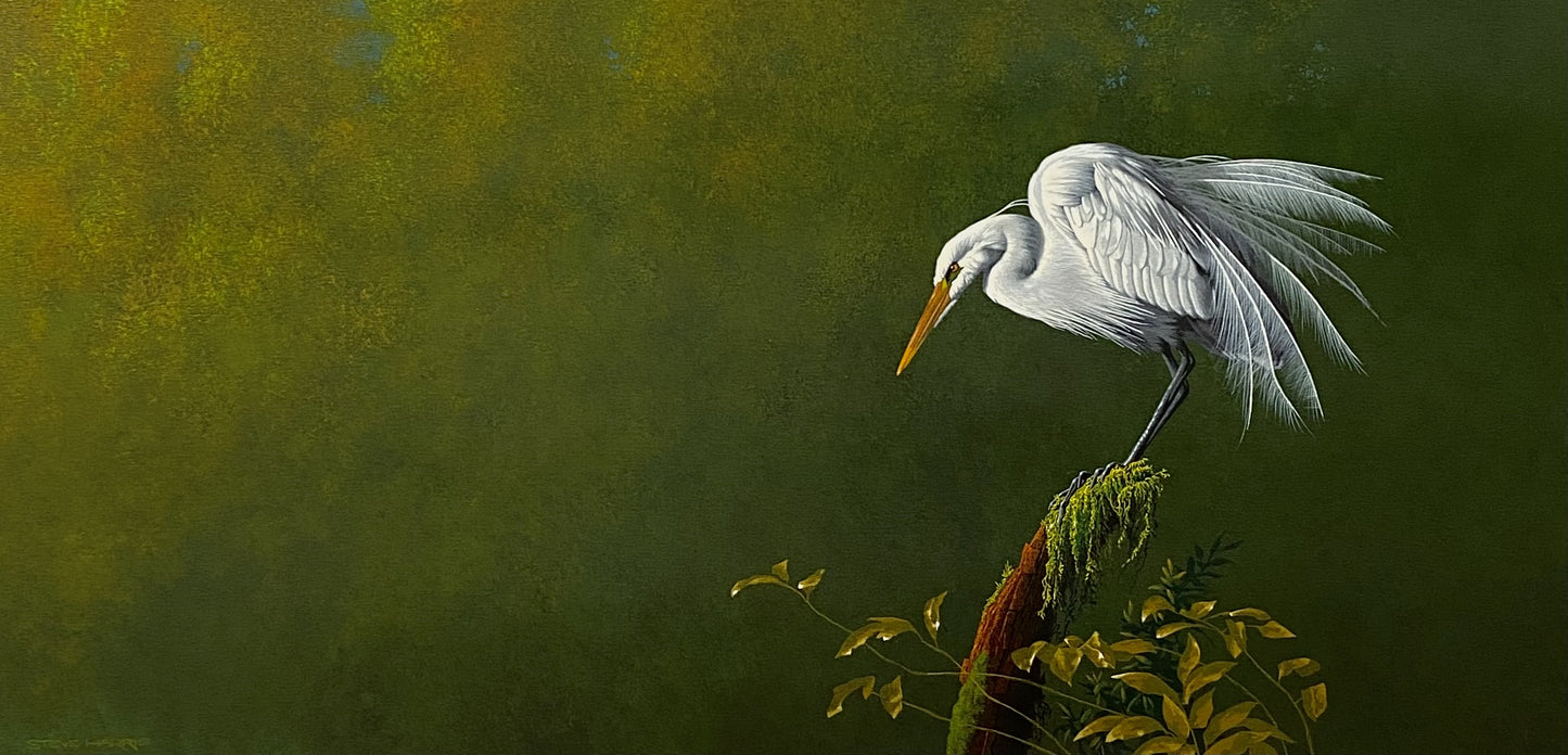 Great Egret