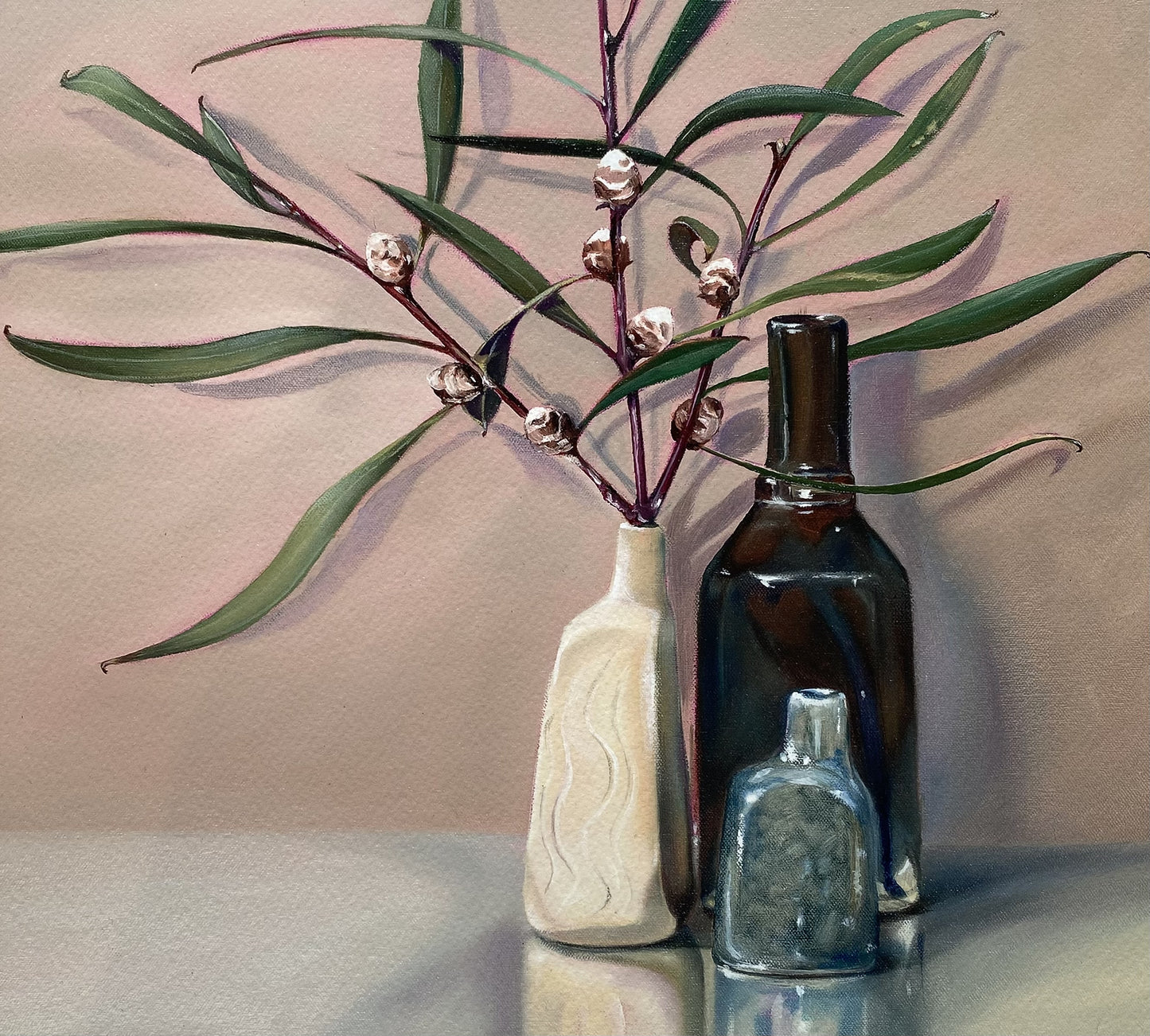 Hakea Buds