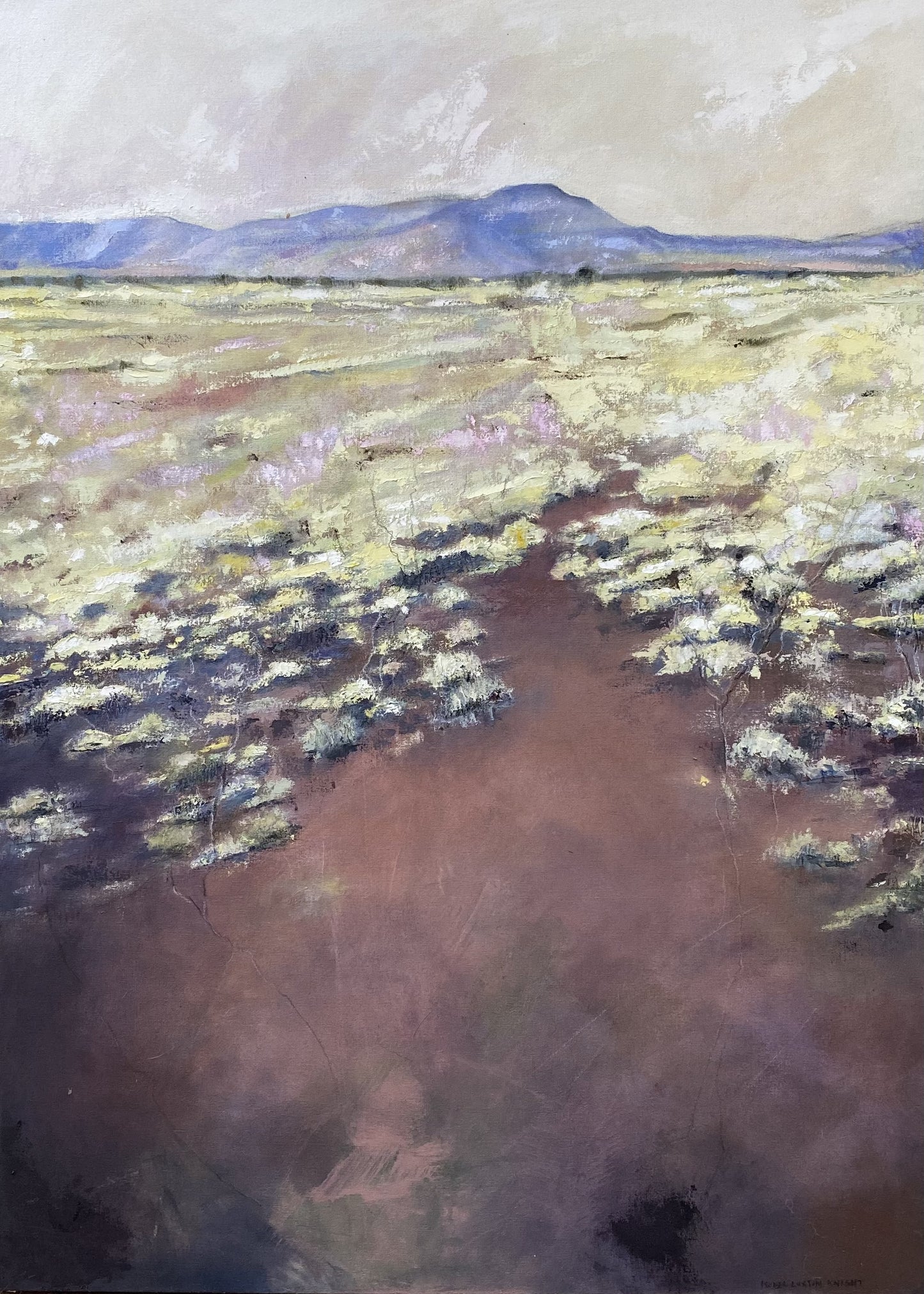 Karijini Spinifex