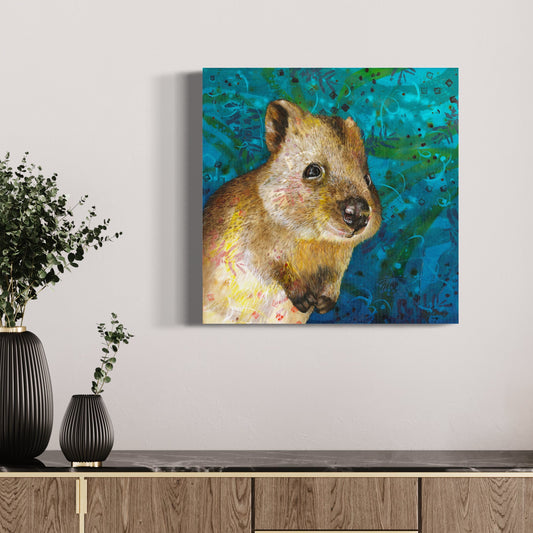 Quokka