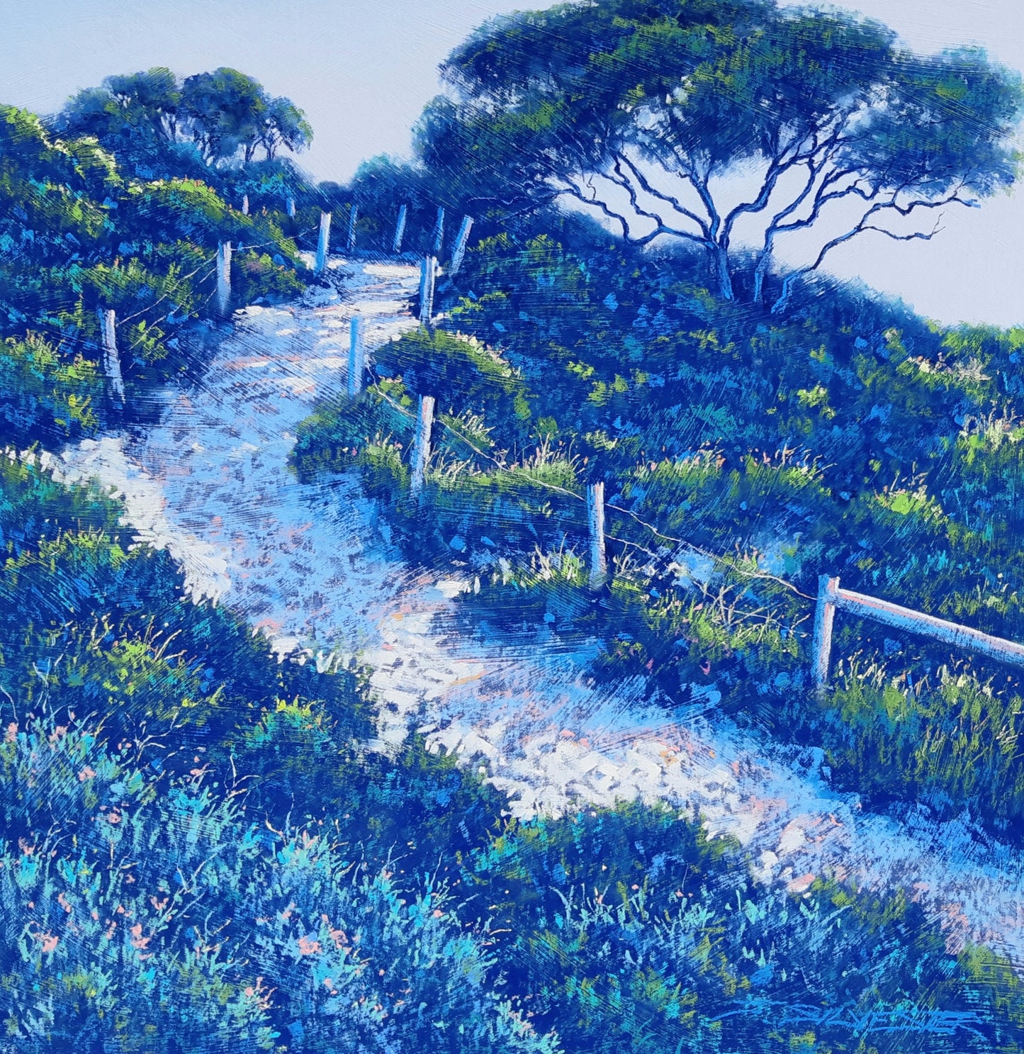 Coastal Garden Yallingup