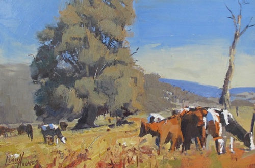 Ferguson Cattle