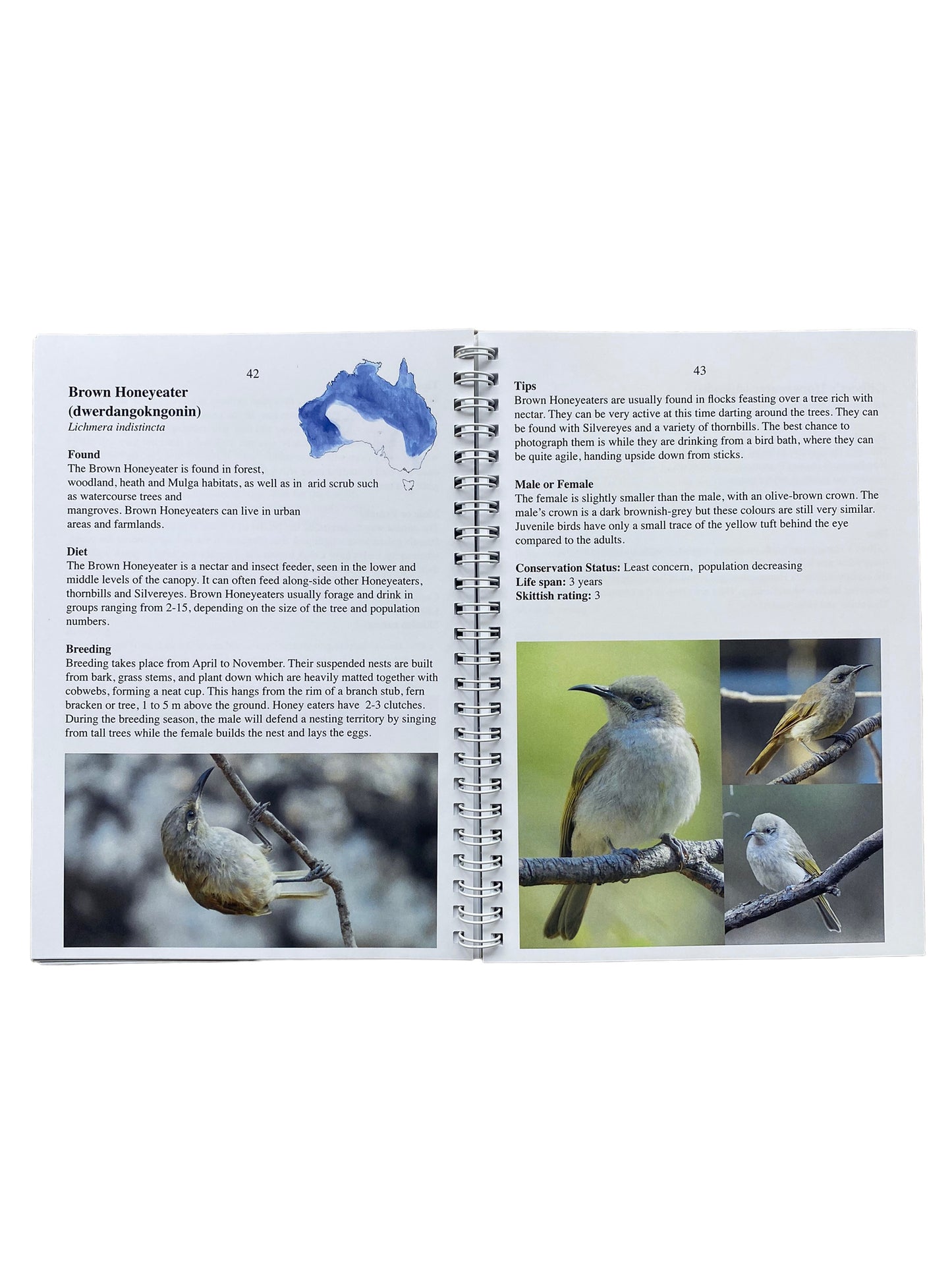 Birds of the Perth Hills