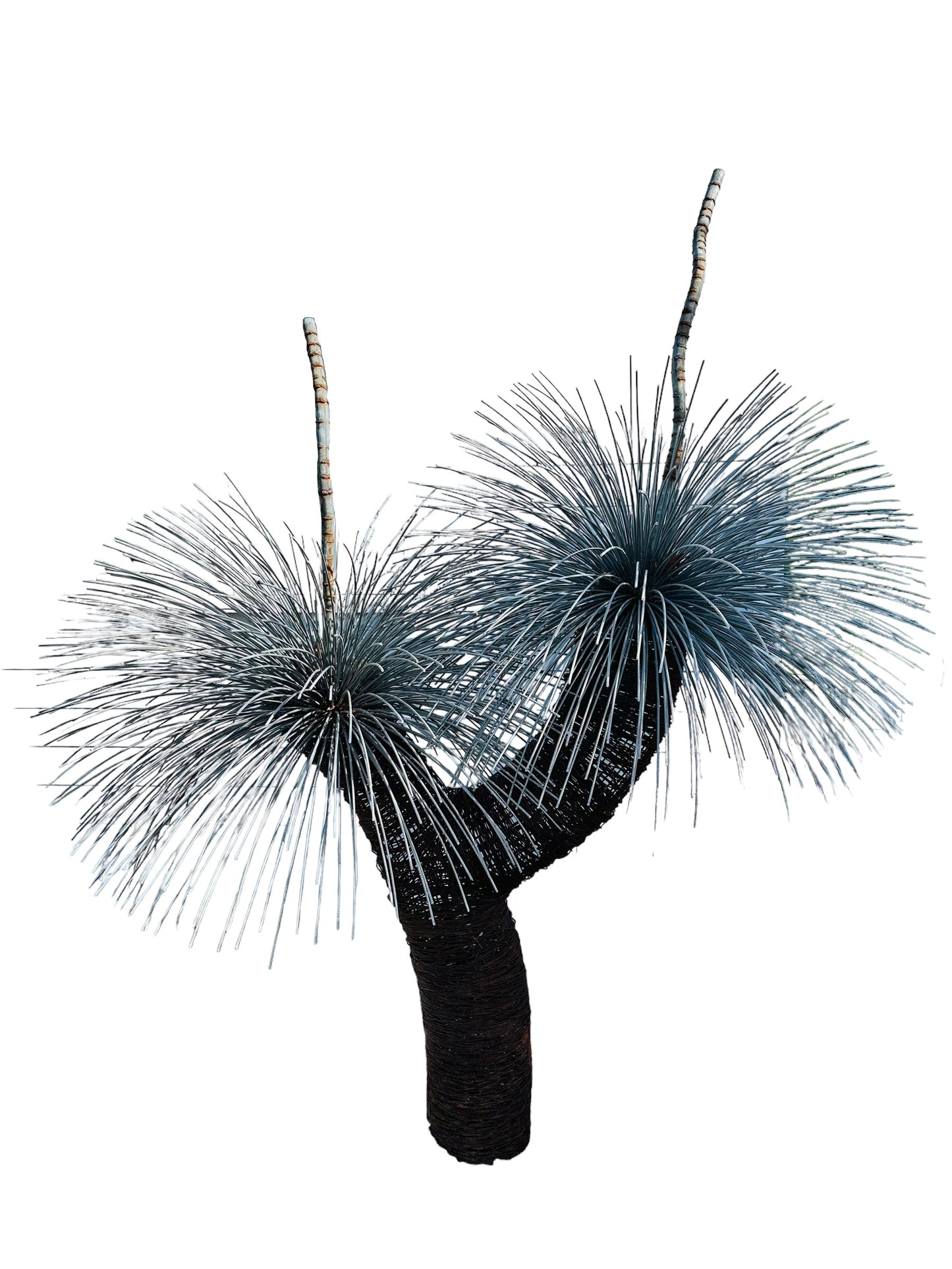 Grass Tree Sculpture