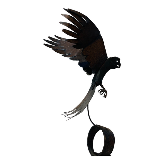 Hovering Cockatoo Contemp