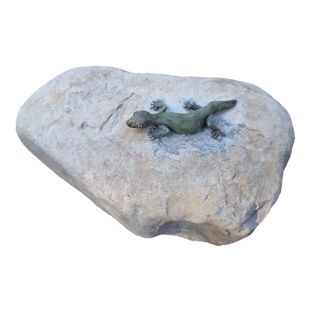 Gecko, Straight Tail - Exhibition Nov 2023