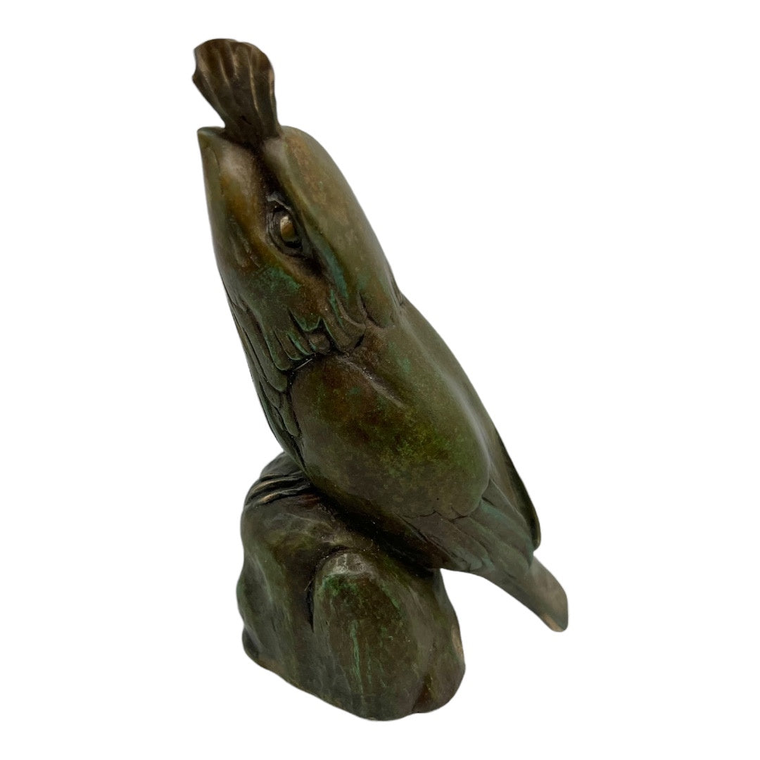 Frogmouth, Medium Sized