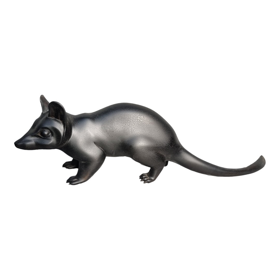 Quoll - Exhibition Nov 2023
