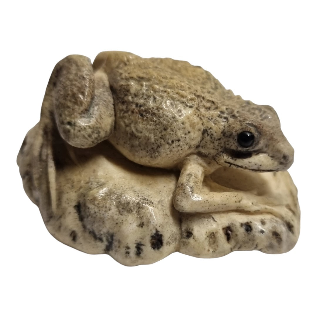 Crinia Frog - Exhibition Nov 2023