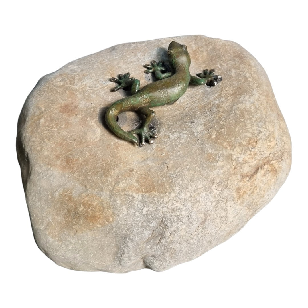 Gecko, Curly Tail - Exhibition Nov 2023