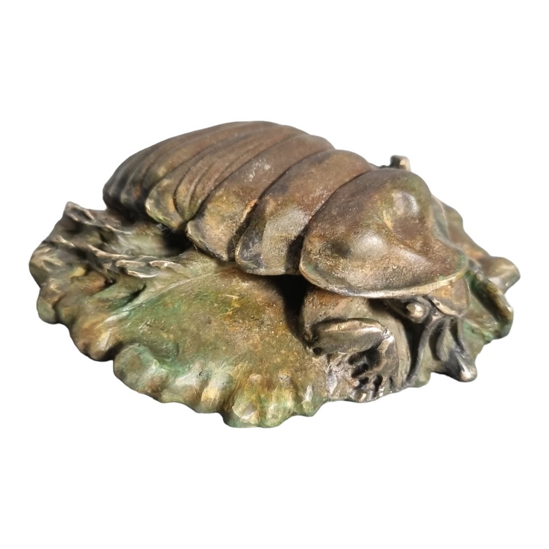 Giant Burrowing Cockroach - Exhibition Nov 2023