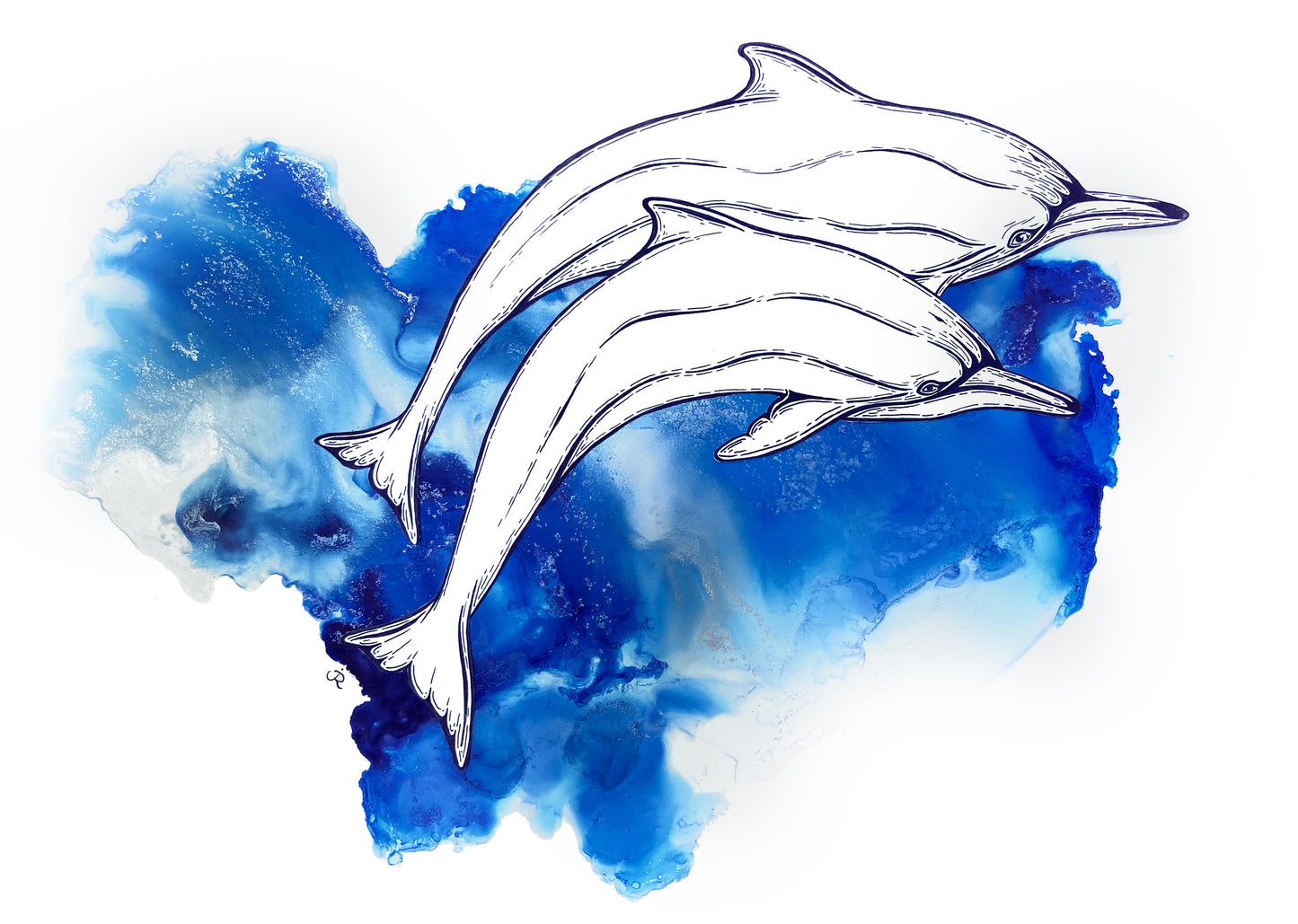 Your Eyes on the Ocean, Spinner Dolphins