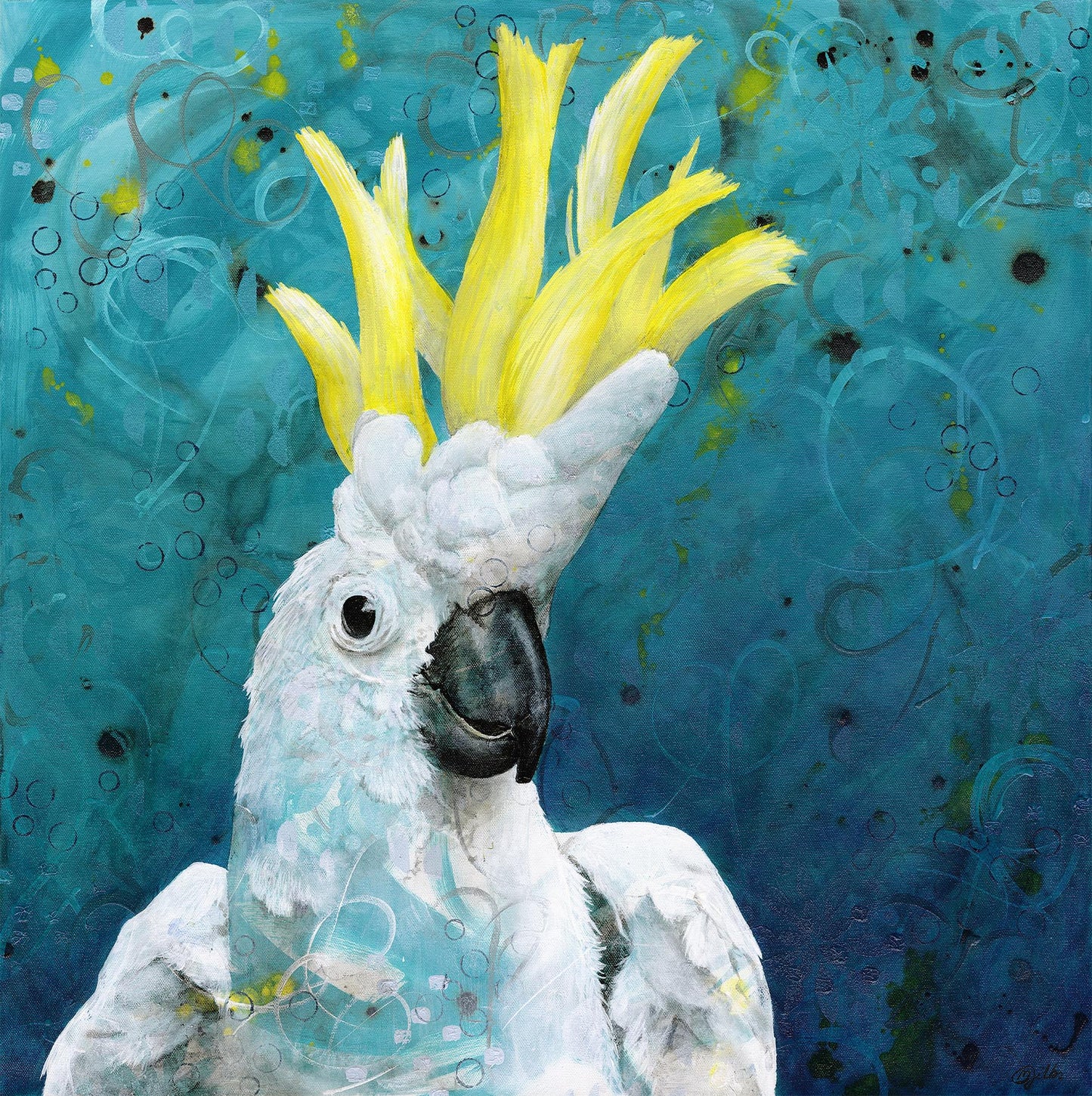 Sulphur Crested Cockatoo 16/100