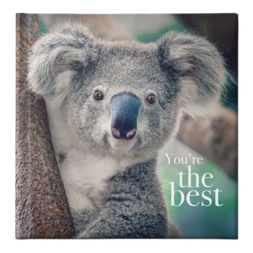 You're the Best - Inspirational Book