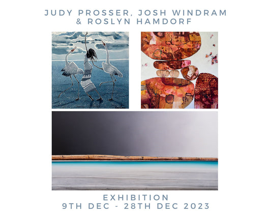 Exhibition: Judy Prosser, Josh Windram, and Roslyn Hamdorf