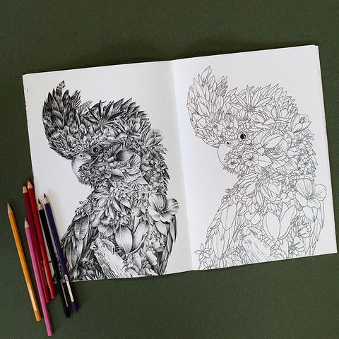 Bushwalking Colouring In Bushwalk - Wildlife Colouring Book – Yallingup Galleries
