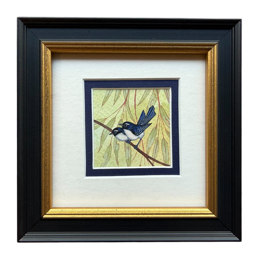 Willy Wagtail Duo - Navy Blue 2026