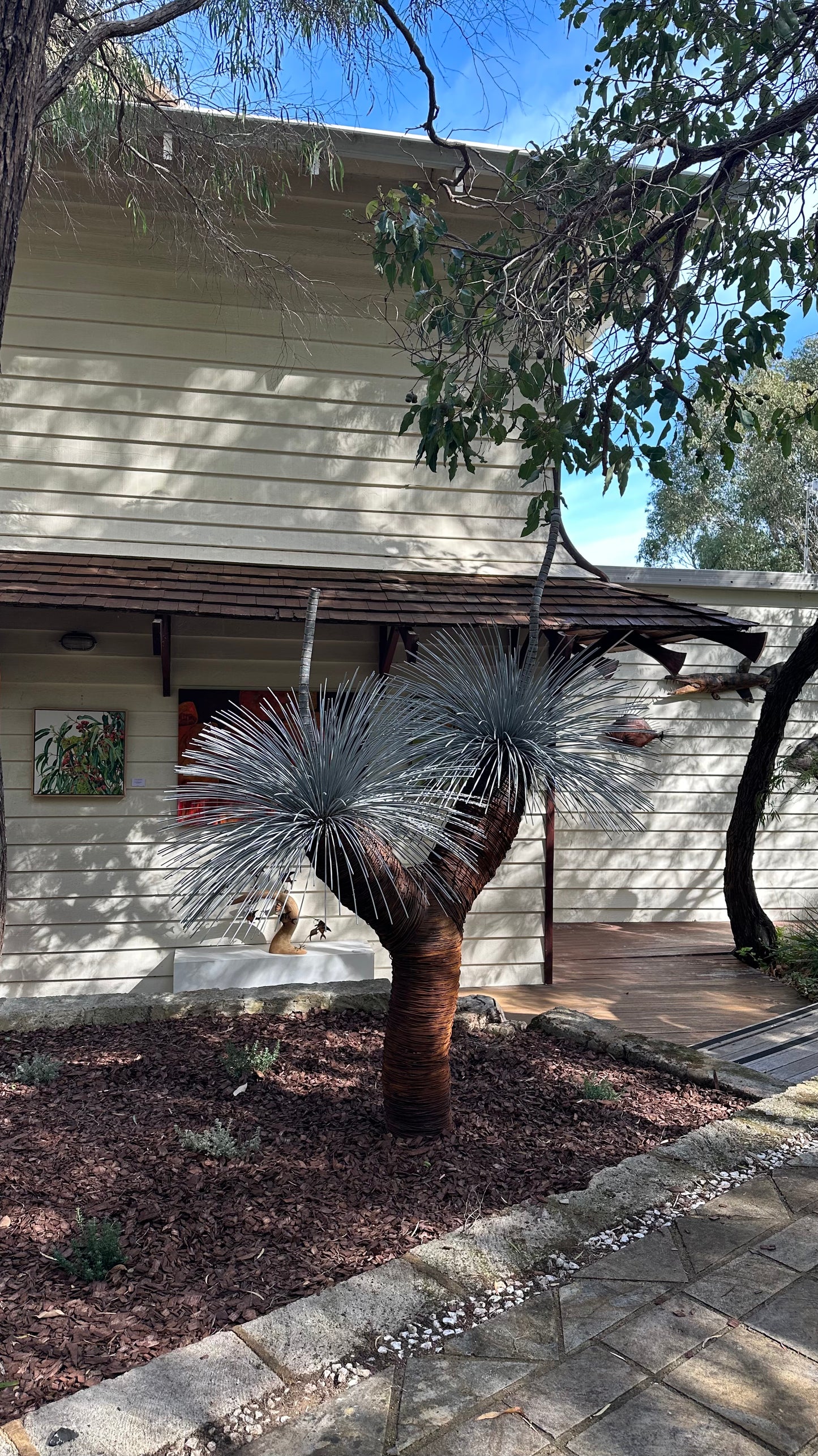 Grass Tree XV