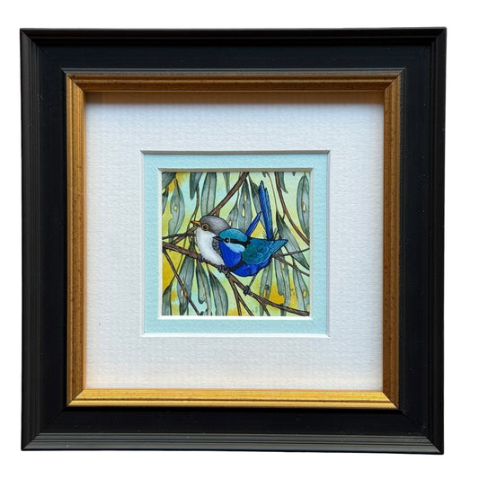 Splendid Fairy Wren Duo - Sky Blue Winter 2026