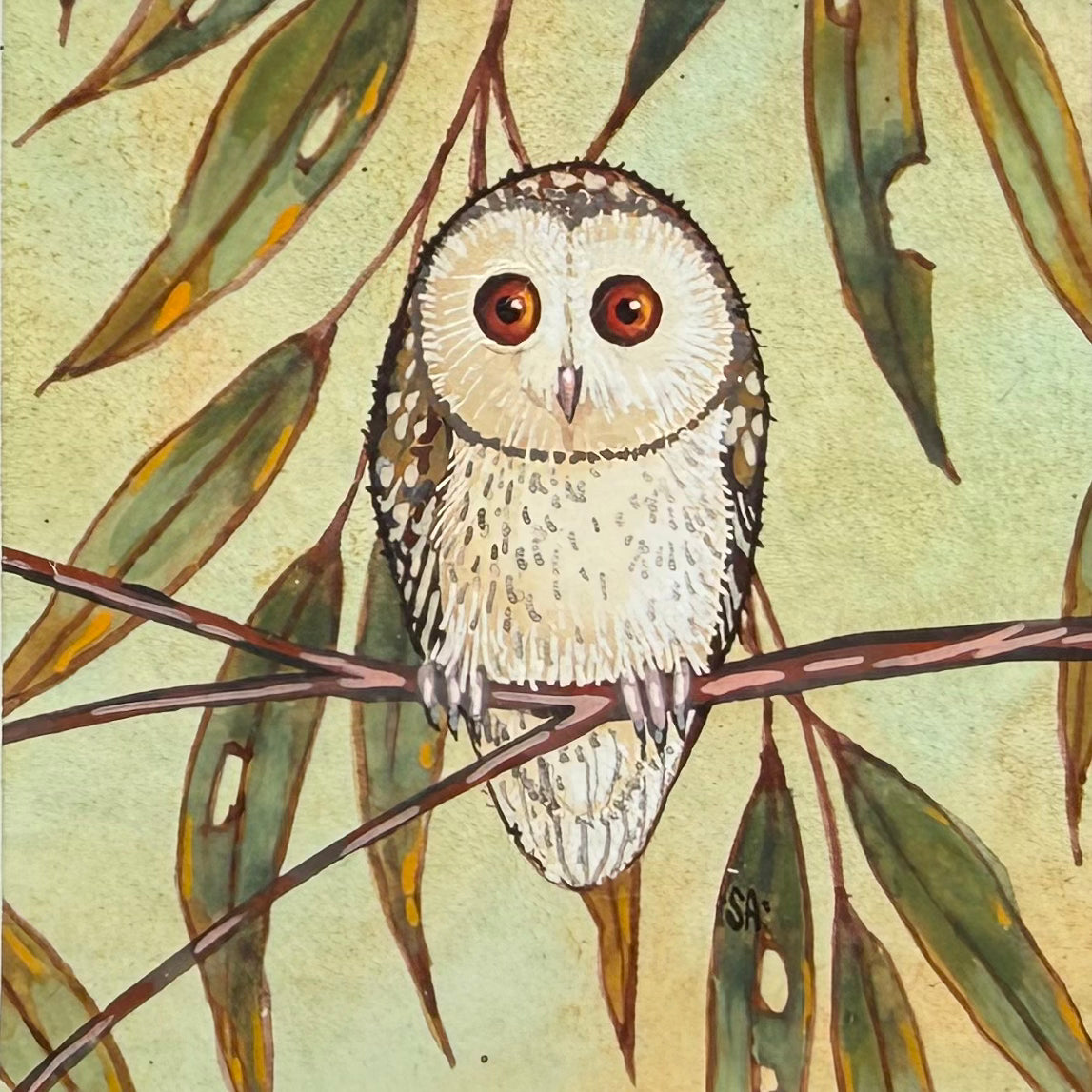 Barn Owl - Forest Green, Spring 2026