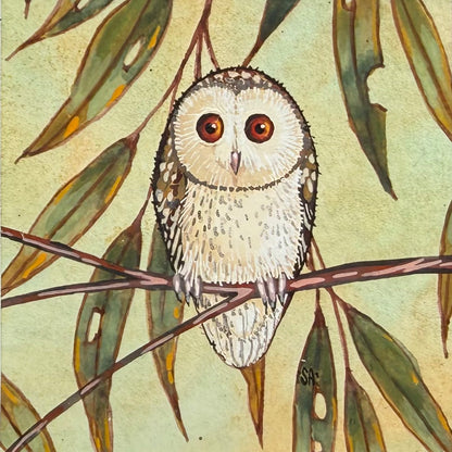 Barn Owl - Forest Green, Spring 2026