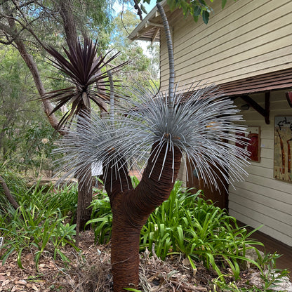 Grass Tree IX