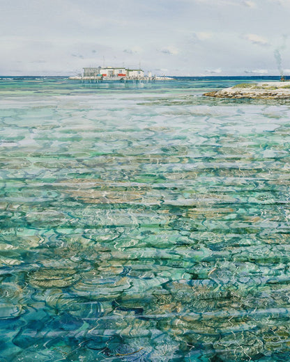 Robertson Island, Abrolhos